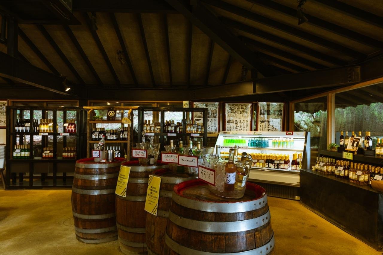 🍇 거봉 와이너리(쿄호 와이나리)